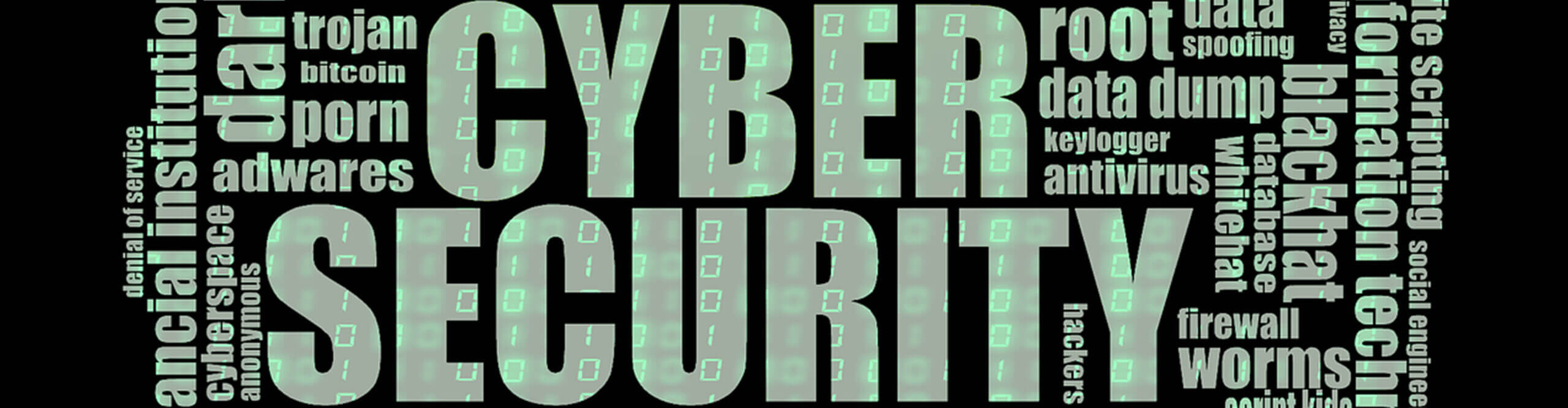 Ciber Seguridad
